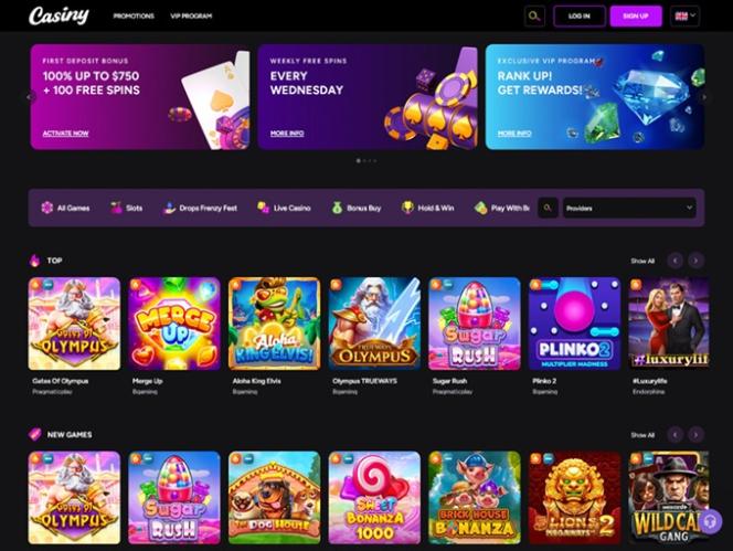 Casiny Login Your Gateway to Ultimate Gaming Experience
