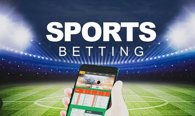 Understanding Betwinner Your Guide to Online Betting