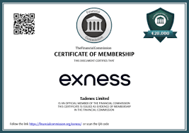 The Comprehensive Guide to Exness MT4 Web Terminal